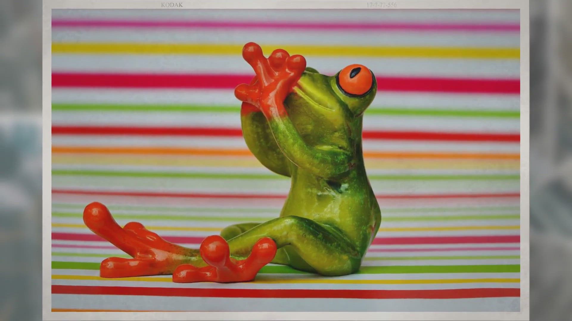 Video thumbnail for Why are my African dwarf frog’s eyes cloudy? – Reptiles & Amphibians