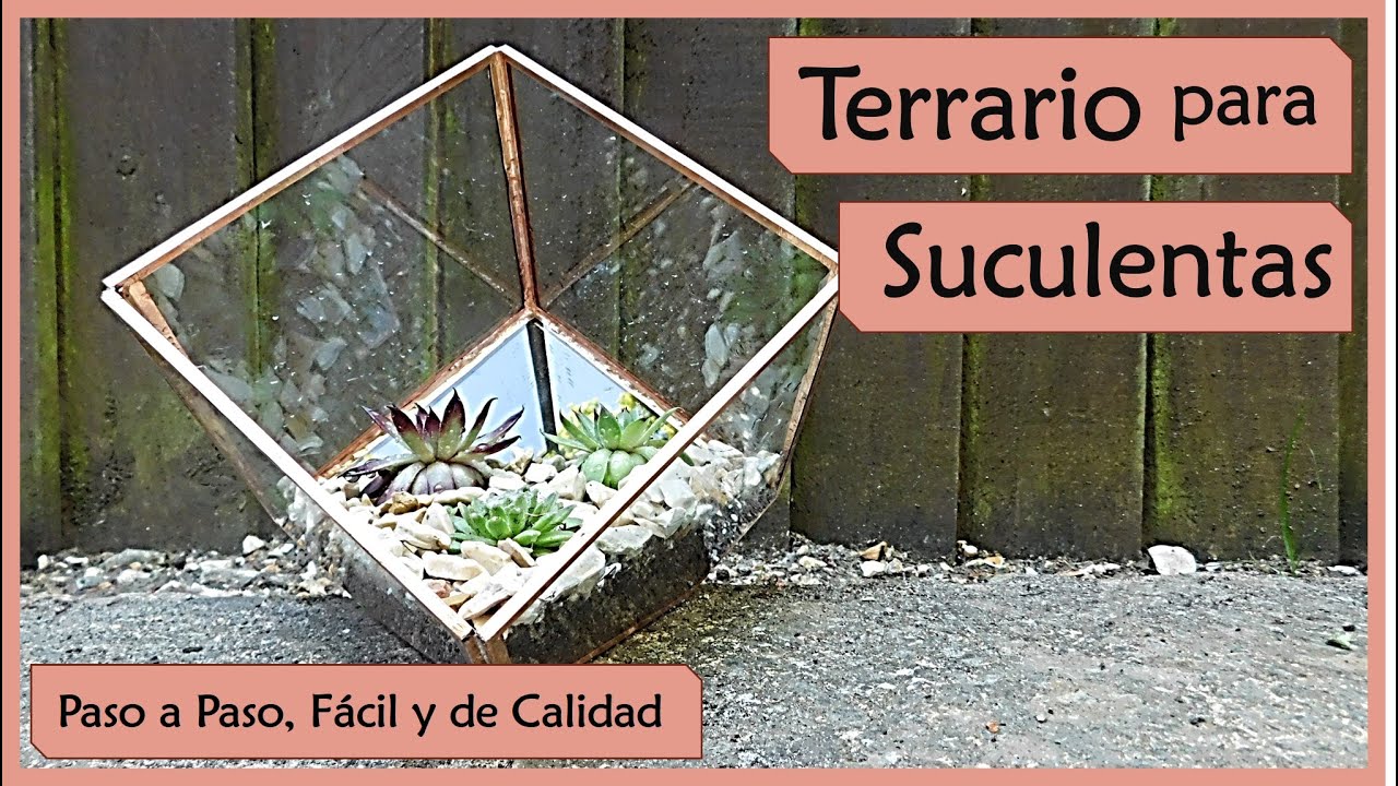 Video thumbnail for 👩🏼‍🌾 Como Hacer tu Propio Terrario de Suculentas 🌵