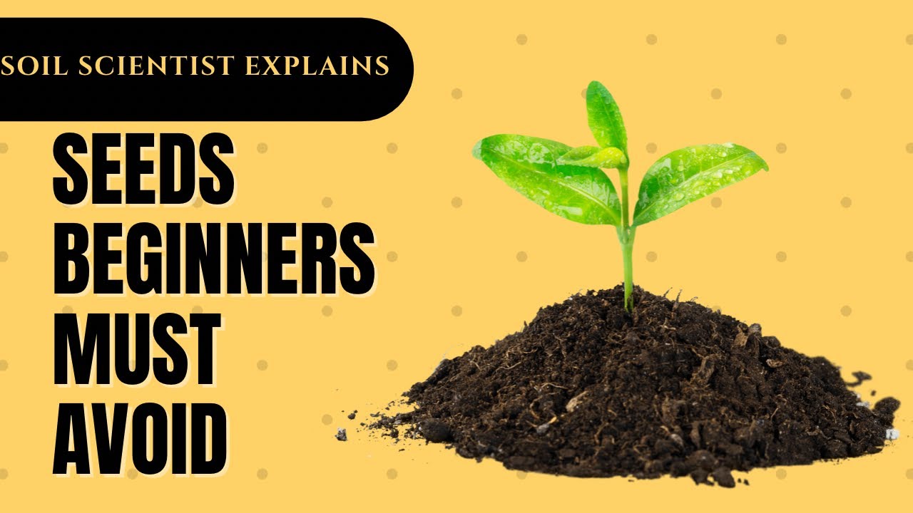 Video thumbnail for Plants That Should Not Be Grown In Cold Climates By Beginners. Gardening in Canada