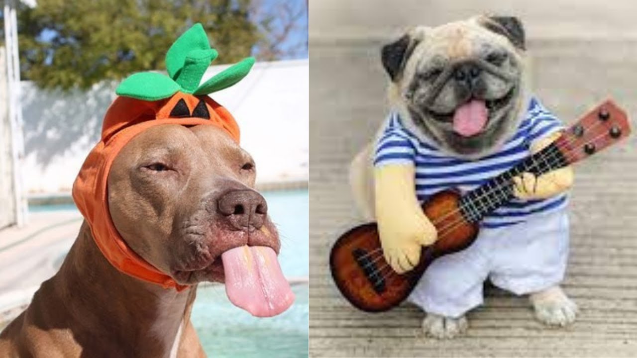 'Video playlist thumbnail'