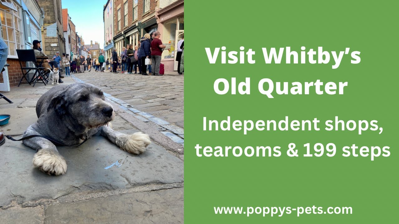 'Video thumbnail for Old Whitby & Tearooms - Walking With Dogs (suitable for senior dogs)'