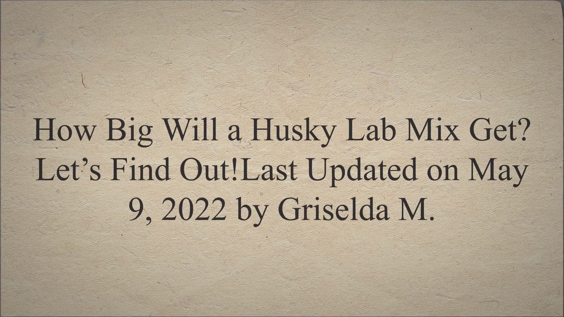 Video thumbnail for How Big Will a Husky Lab Mix Get? Let’s Find Out!