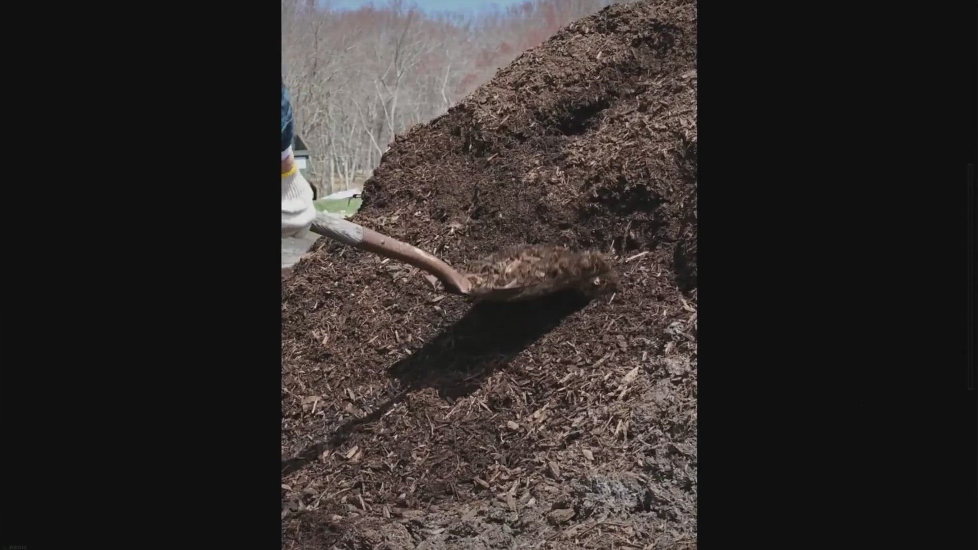 Video thumbnail for How To Restore Soil life