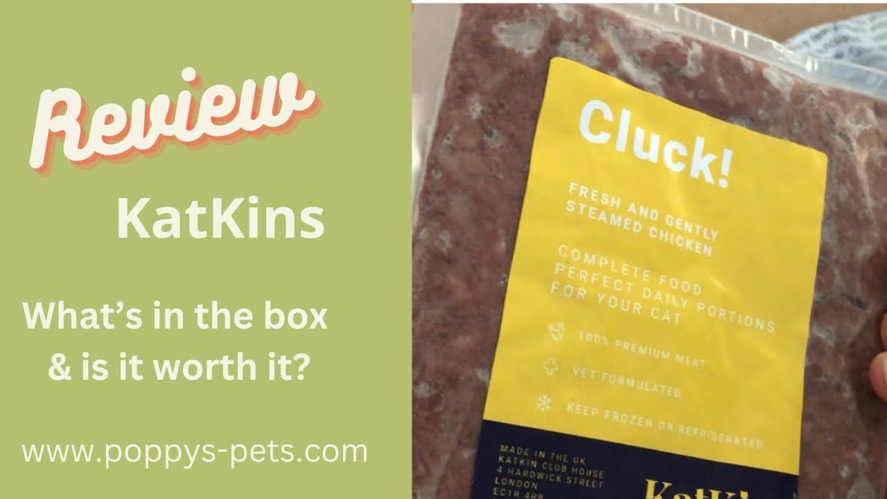 'Video thumbnail for KatKin's Trial Cat Food with Fresh Meats on the Menu! Cat Food Subscription Box. Link Below'