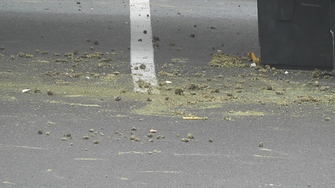 Video thumbnail for 750 Pounds Of Marijuana Discovered