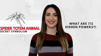 Video thumbnail for Spider Spirit Animal - Shocking Info Revealed!
