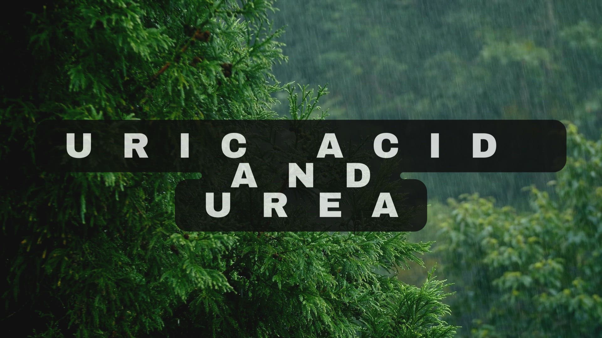 'Video thumbnail for Uric Acid and Urea video'