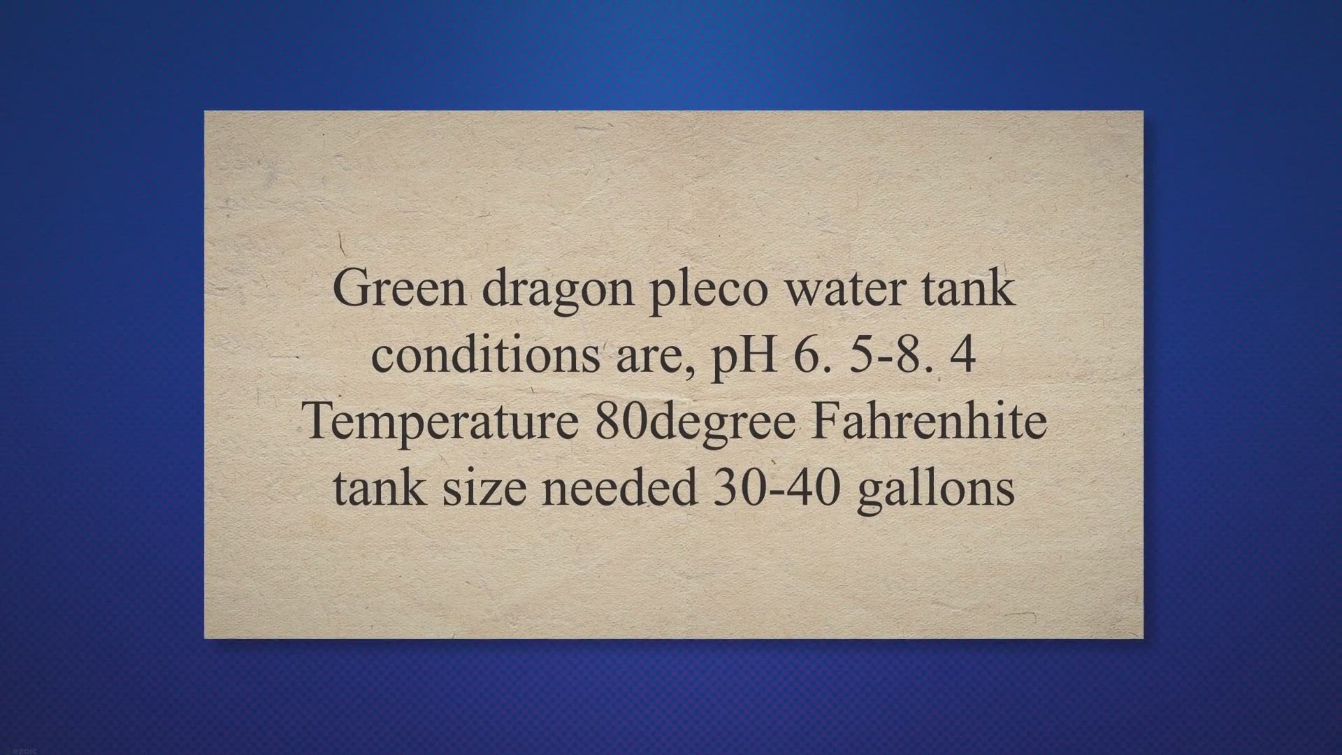 Video thumbnail for Green Dragon Pleco