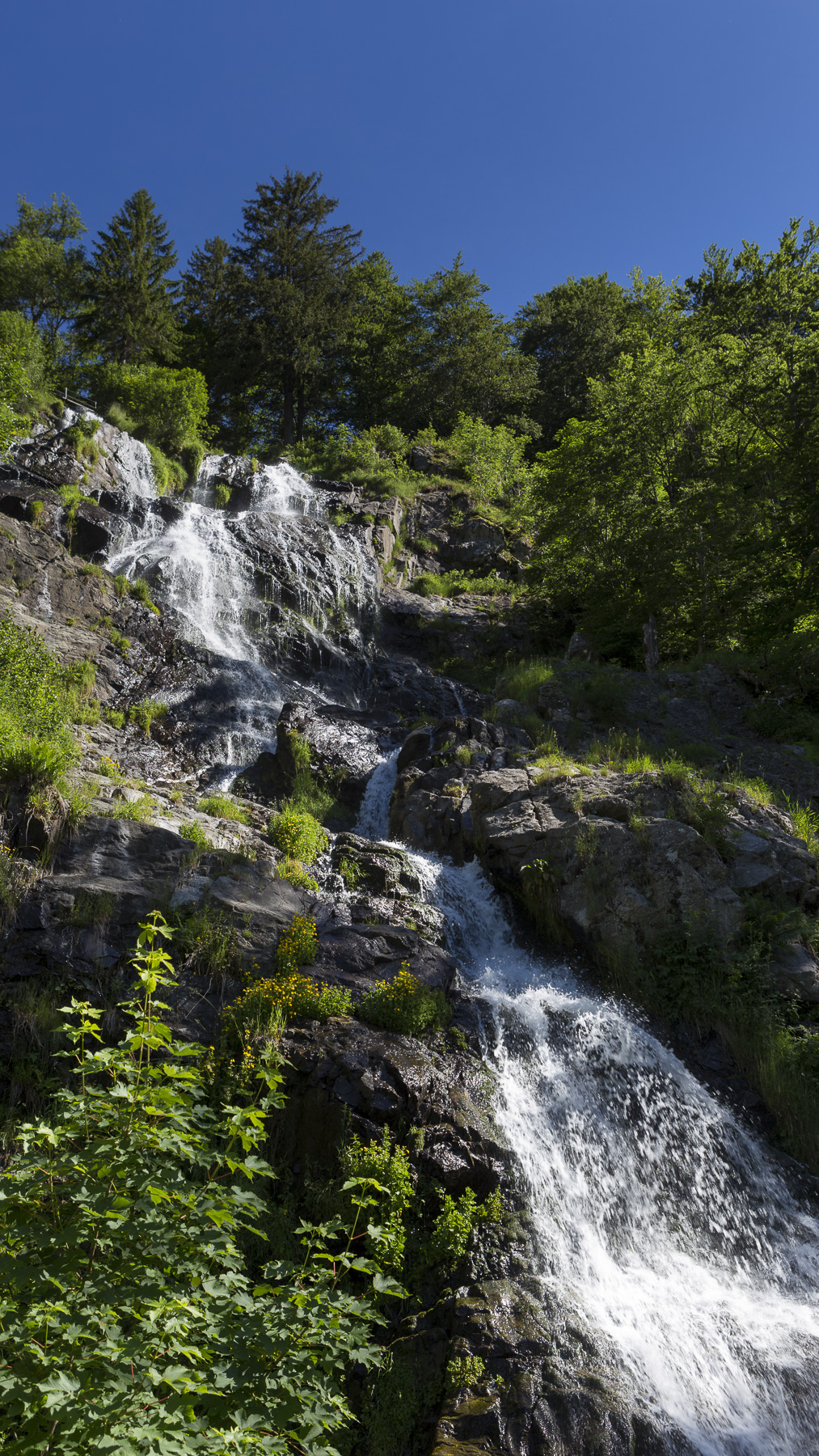 'Video thumbnail for Todtnauer Wasserfälle im Hochschwarzwald'