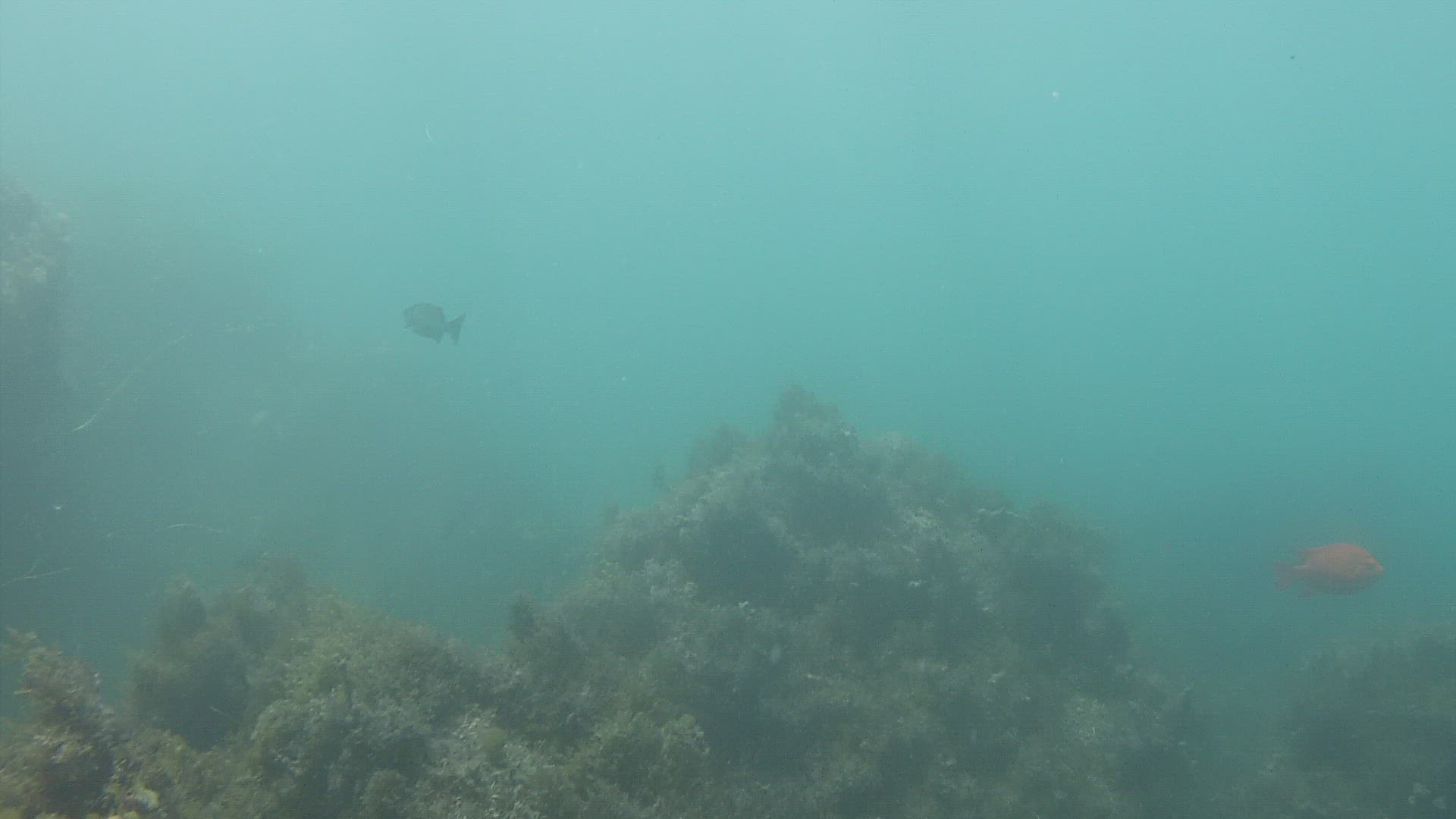 Video thumbnail for Fishing in Florida