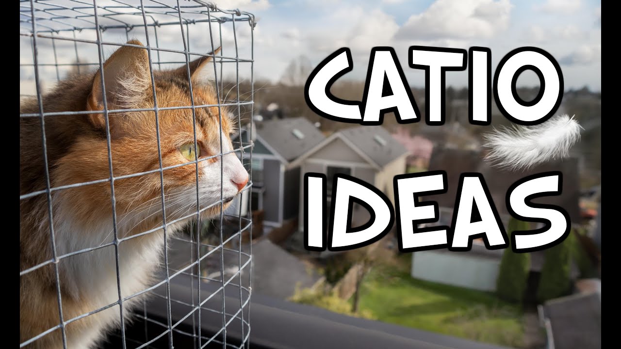 Video thumbnail for DIY Catio Ideas