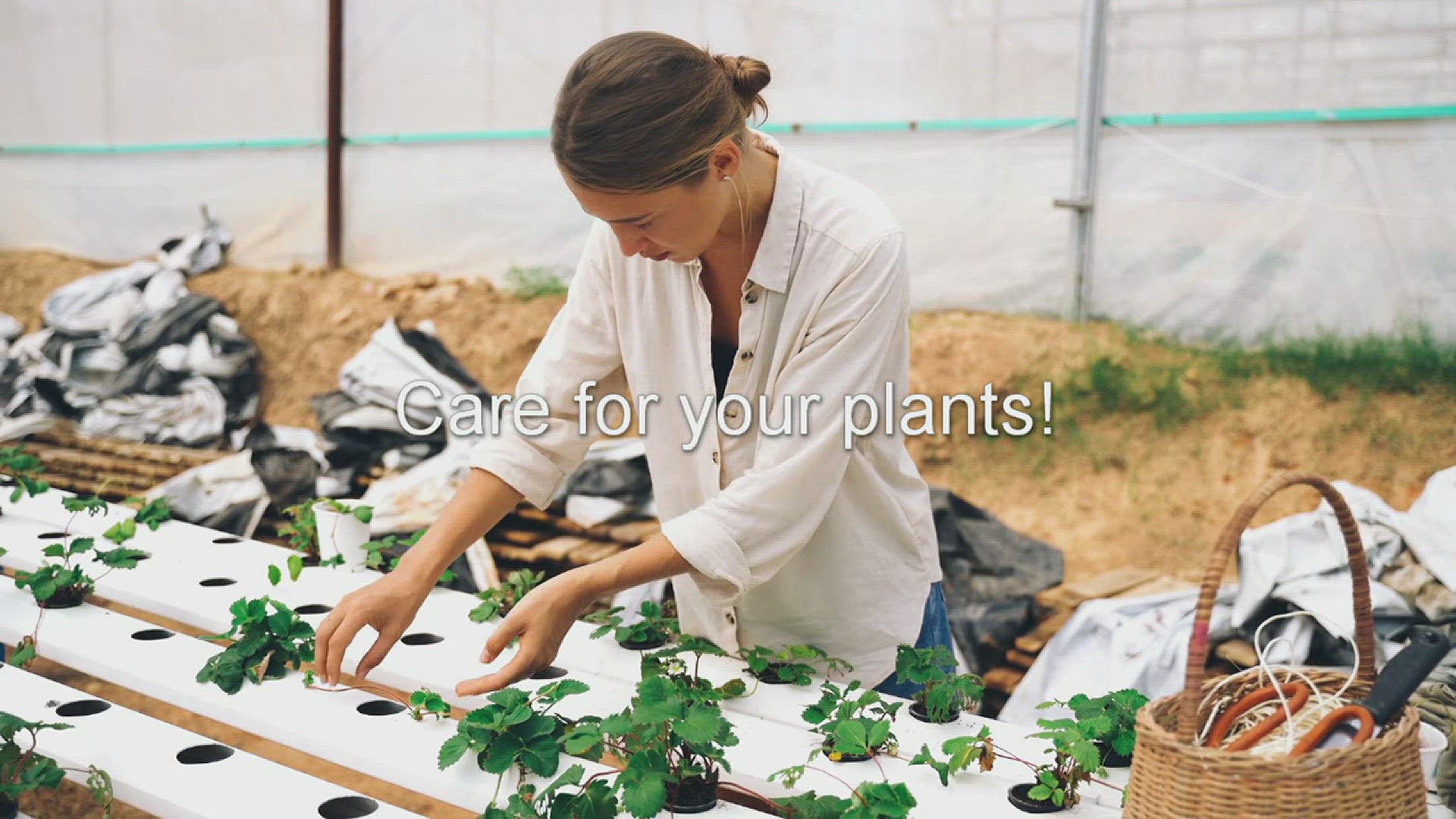 Video thumbnail for Care for your plants!