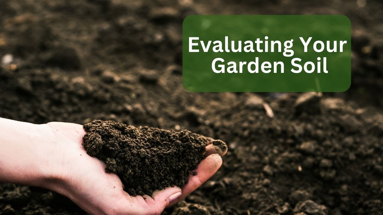 Video thumbnail for Evaluating Your Garden Soil