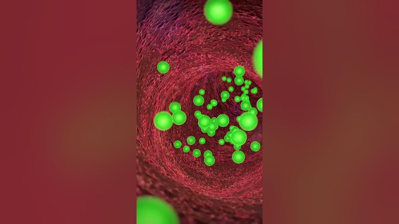 'Video thumbnail for An Oregano of Wonder: Can This Herb Help Prevent Cancer? #shorts'