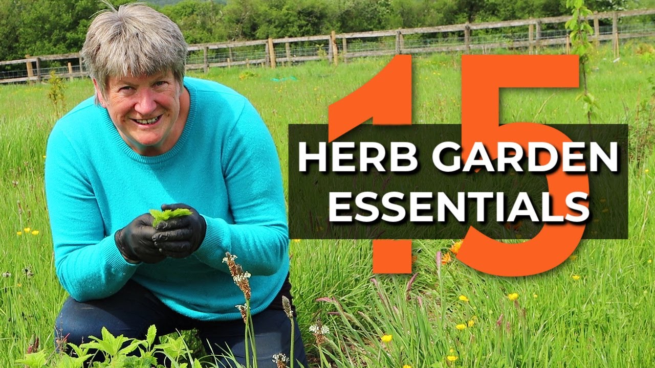 Video thumbnail for 15 MUST HAVE Herbs for the Kitchen | Easy Herbs to Grow Outdoors