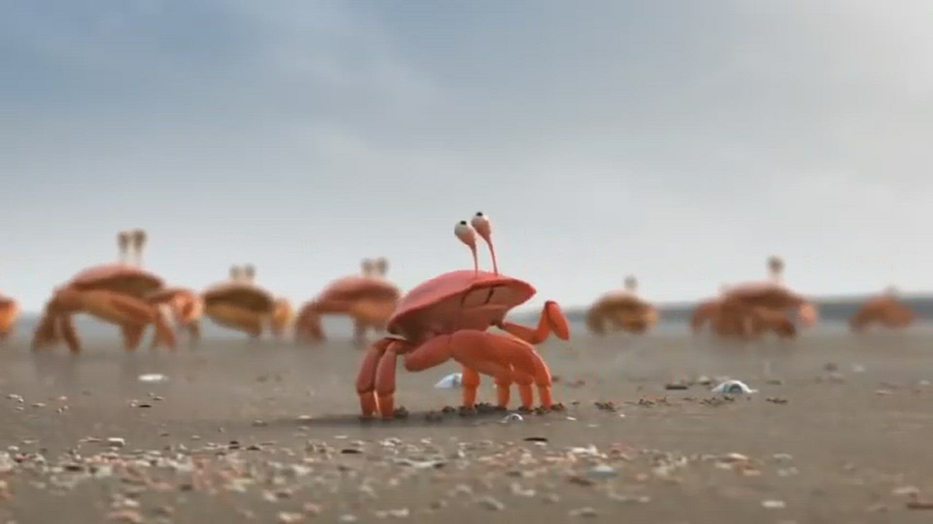 Video thumbnail for Team Work - Shrimp Group