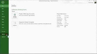 Video thumbnail for Show the Time in MS Project Start and End Date Fields