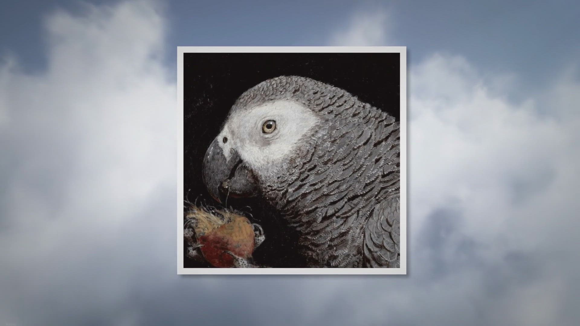 Video thumbnail for African grey painting