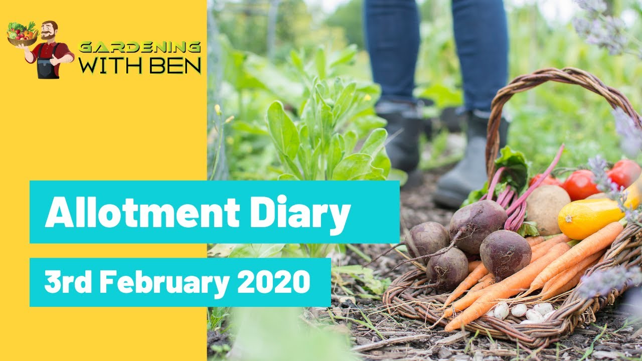 Video thumbnail for 🎥 ✅ Allotment & Gardening Diary 🌿📔 | Updates & Exciting Progress – February 3rd 2020 🌱✨