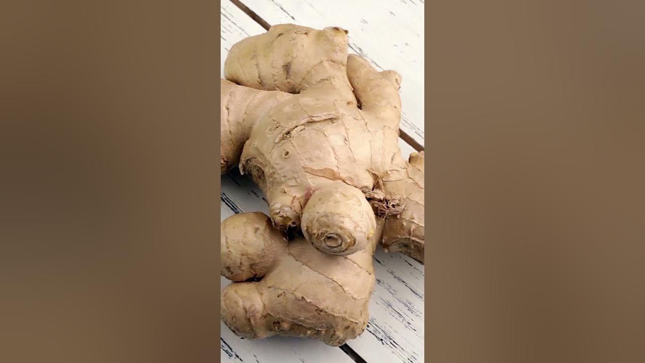 'Video thumbnail for Ginger: Spice Up Your Weight Loss Routine #shorts'