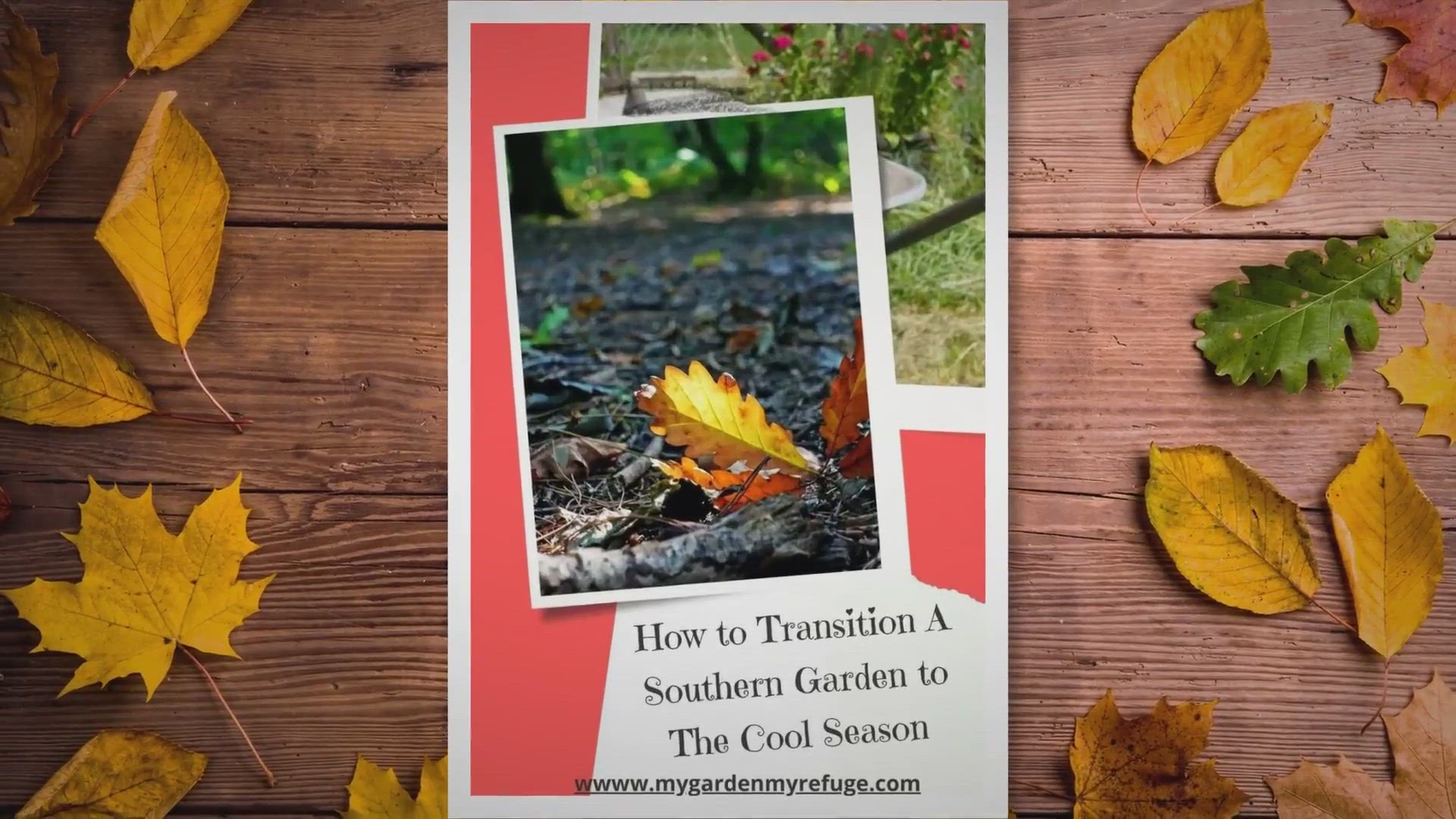 Video thumbnail for Transitioning A Southern Garden To The Cool Season