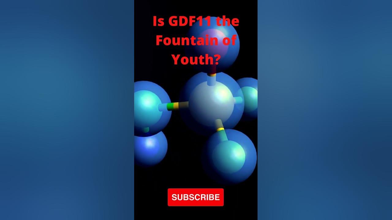 'Video thumbnail for Is GDF11 the key to eternal youth? #shorts #GDF11 #longevity #antiaging #rejuvenation'