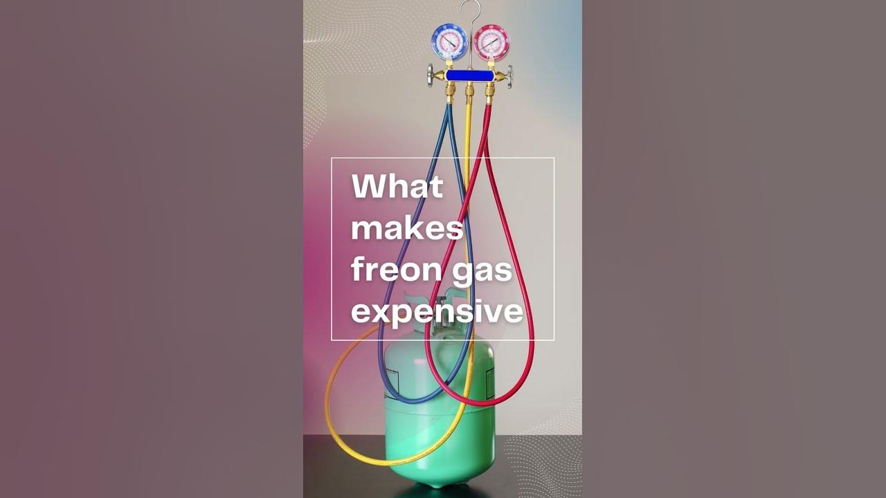 Video thumbnail for R12 price per pound #shorts