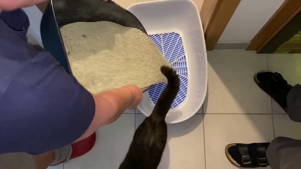 Video thumbnail for 26. April 2020