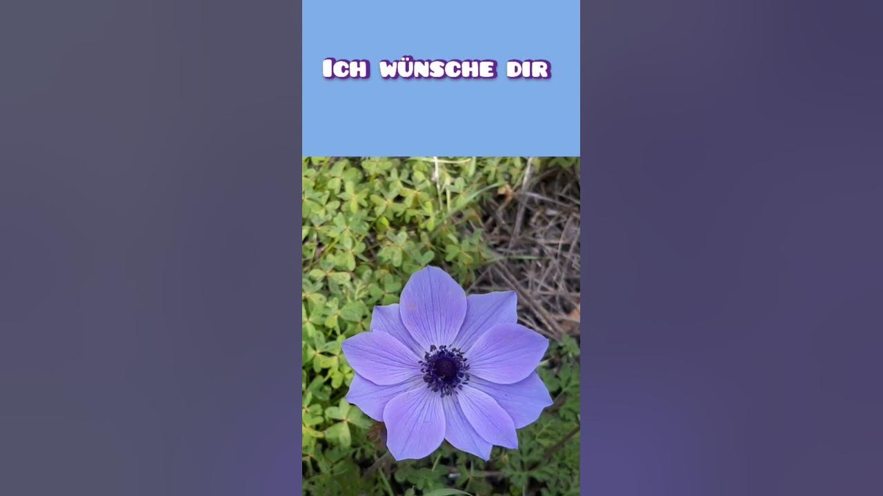 Video thumbnail for #wochenende #wochenendgrüße #grußvideo #gruß #grüße