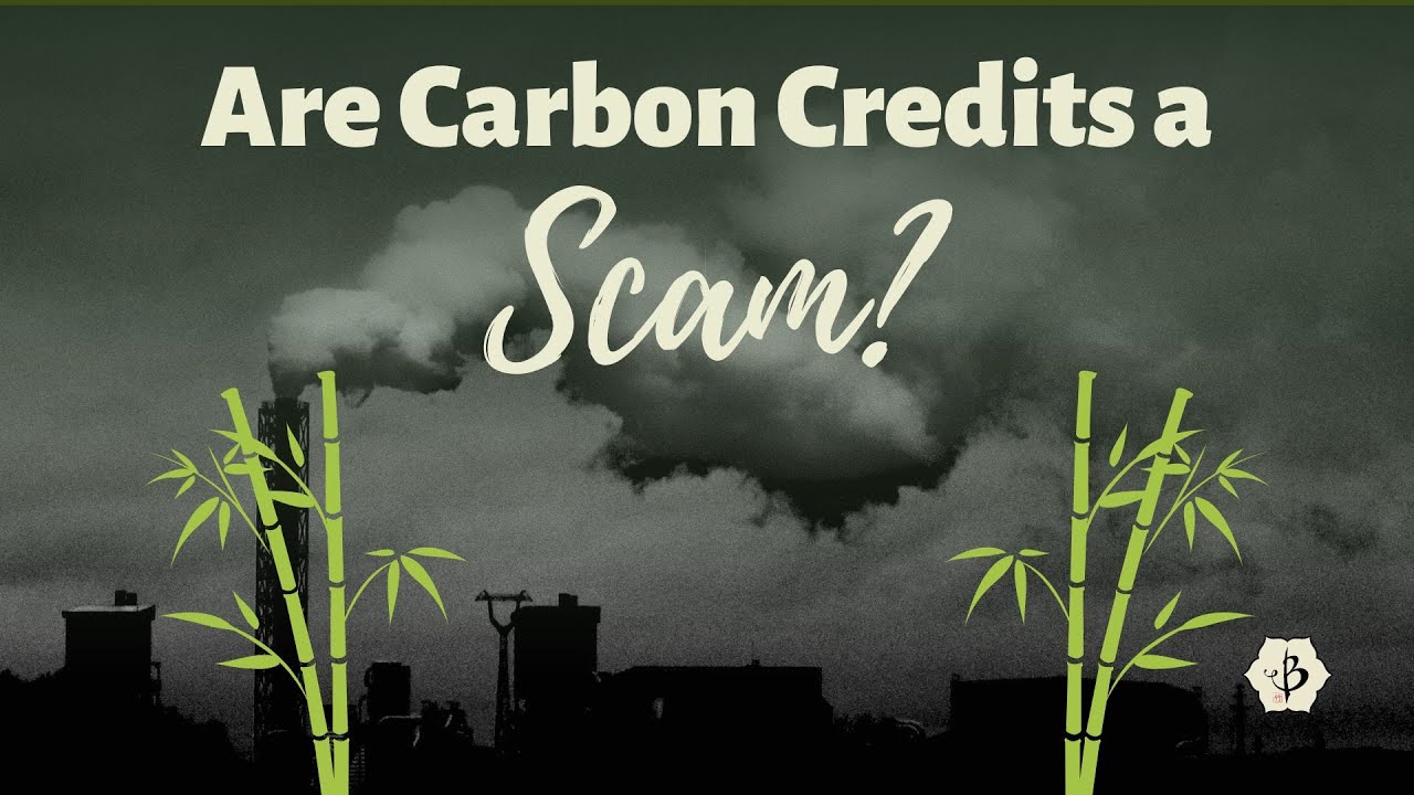 'Video thumbnail for Are Carbon Credits a Scam?'