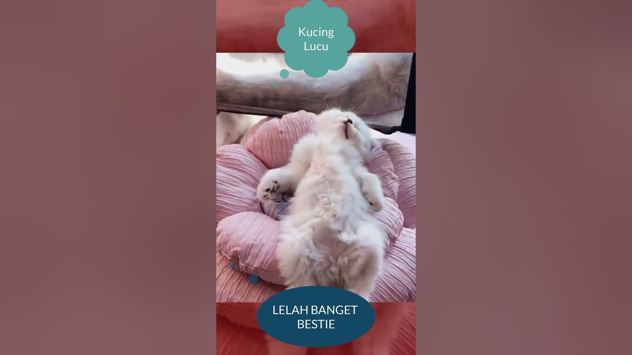 Video thumbnail for LELAH BANGET BESTIE #shorts