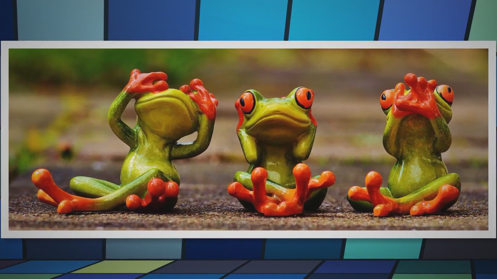 Video thumbnail for What Can Live With Red-Eyed Tree Frogs. A Complete Guide – Reptiles & Amphibians