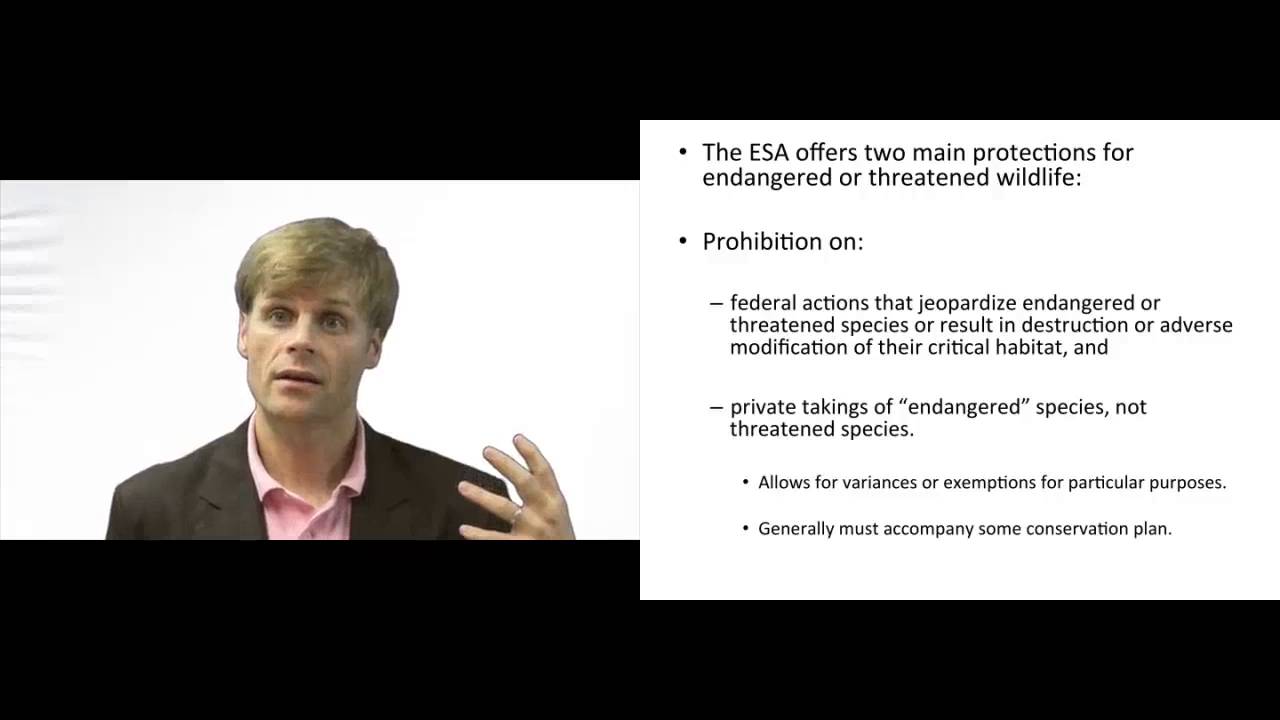'Video thumbnail for The Endangered Species Act'