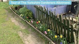 Video thumbnail for 🎥 ✅ Why You Should Grow Flowers on Your Allotment 🌸🌿 | Boost Pollinators, Beauty & Harvests