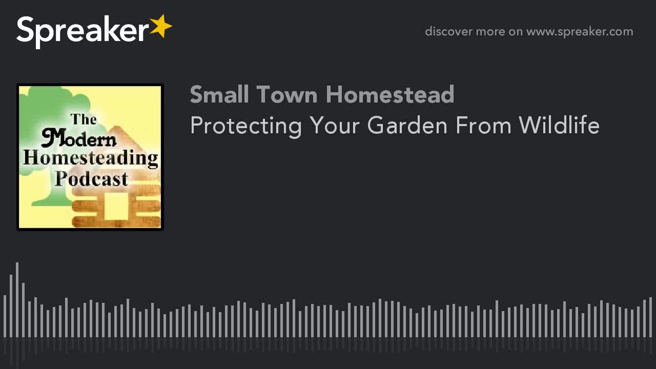 Video thumbnail for Protecting Your Garden From Wildlife - Modern Homesteading Podcast