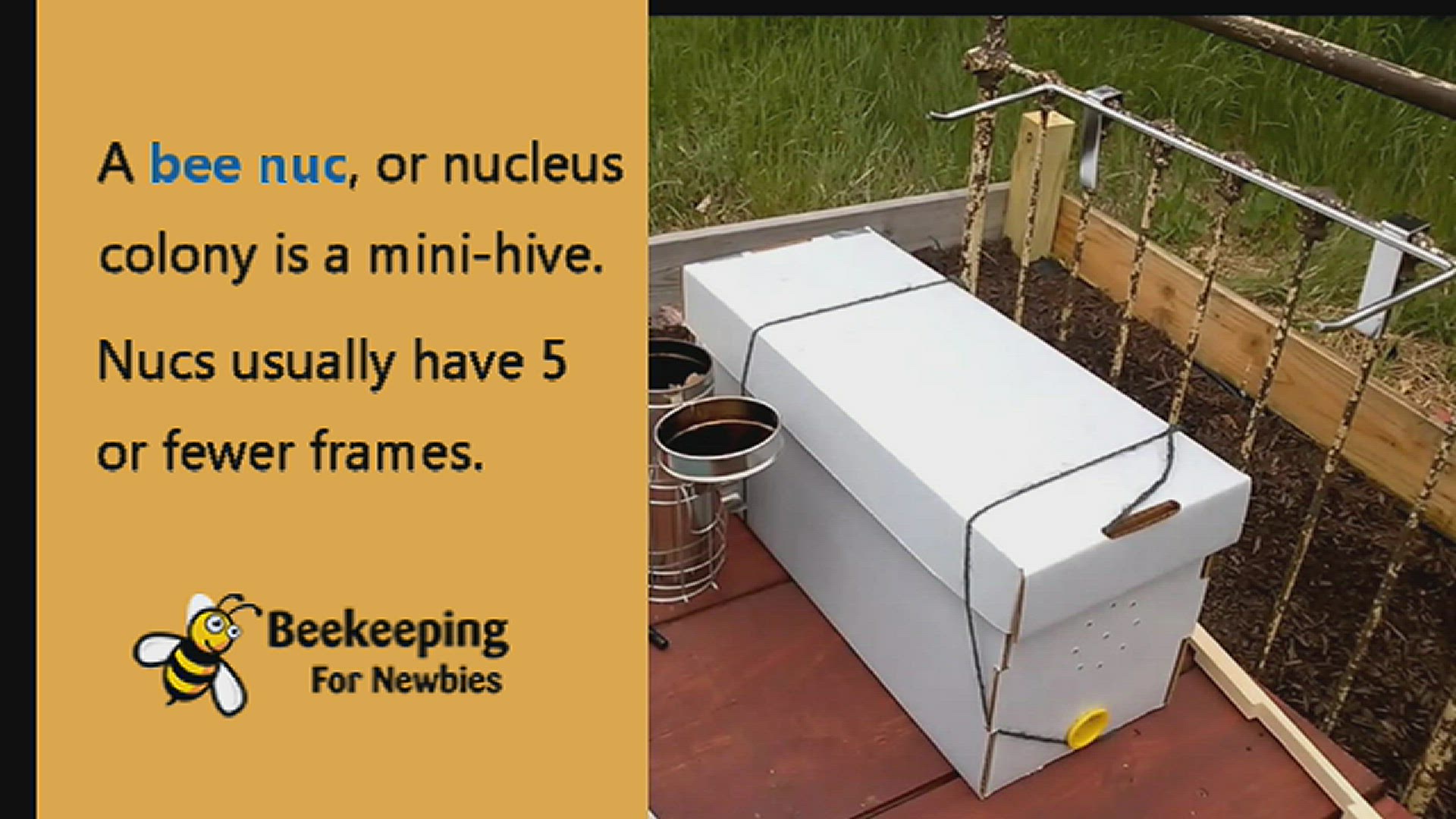 'Video thumbnail for Bee Nuc'
