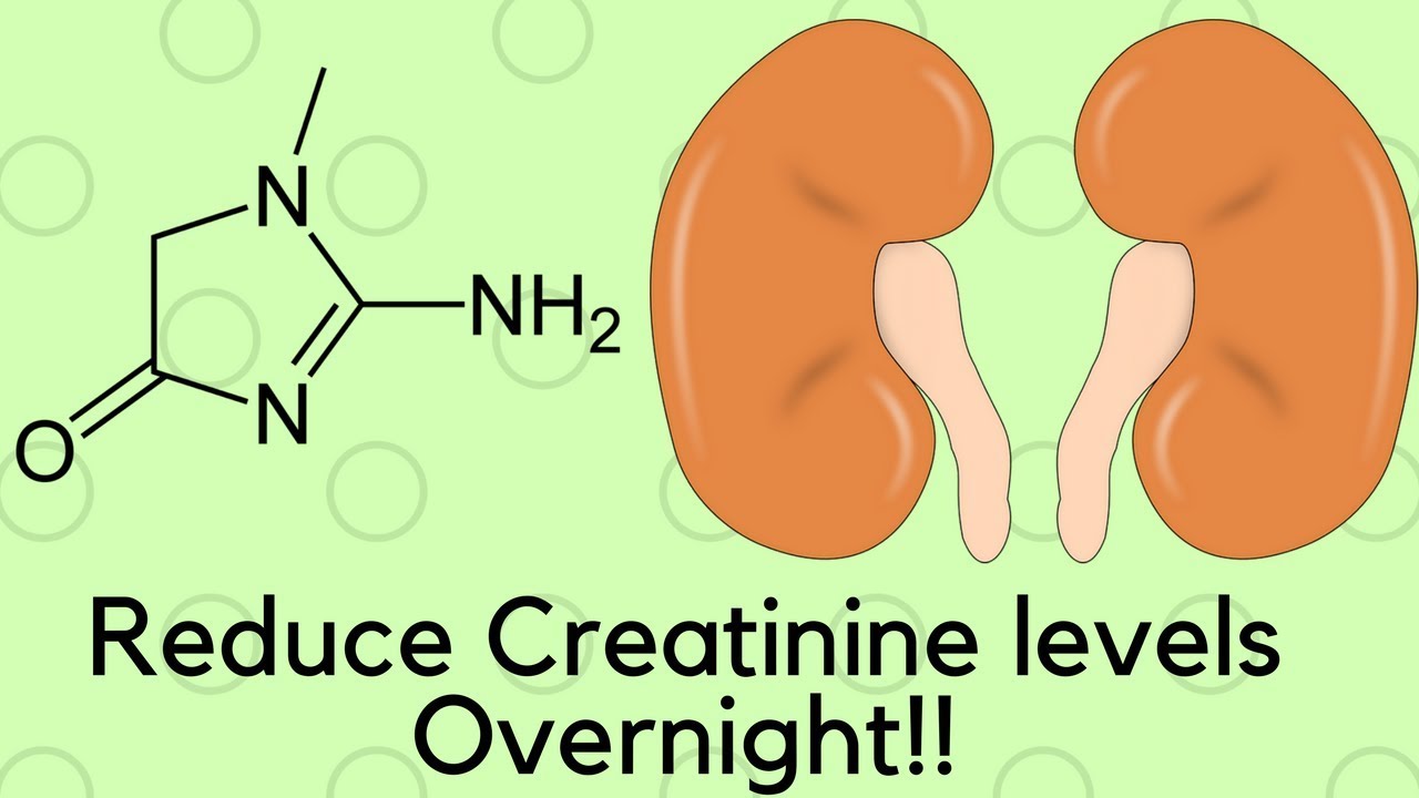 Video thumbnail for How To Reduce Creatinine Level:Lower Creatinine Naturally (Fast!!)