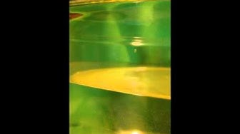 Video thumbnail for Product Review Kobert Mobile Waterproof Case - Sheri Ann Richerson ExperimentalHomesteader.com