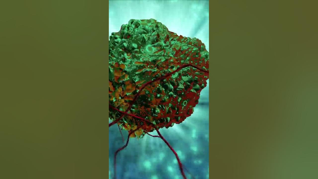 'Video thumbnail for Dilly Dilly: The Surprising Health Benefits of this Familiar Herb #shorts'