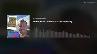 Video thumbnail for 🎥 ✅ “Hottest Day Strawberry Picking 🍓☀️ | Summer Gardening Podcast Adventures & Tips 🌿🎙️”