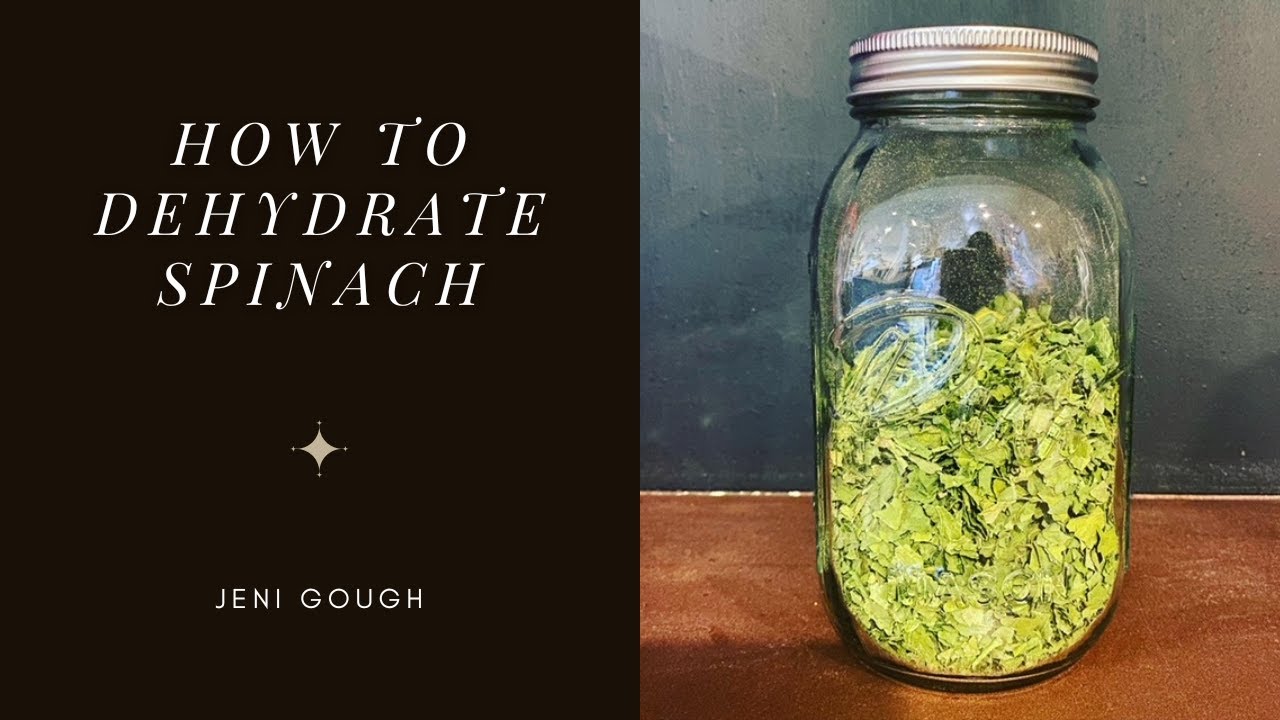 Video thumbnail for How To Dehydrate Spinach // Jeni Gough