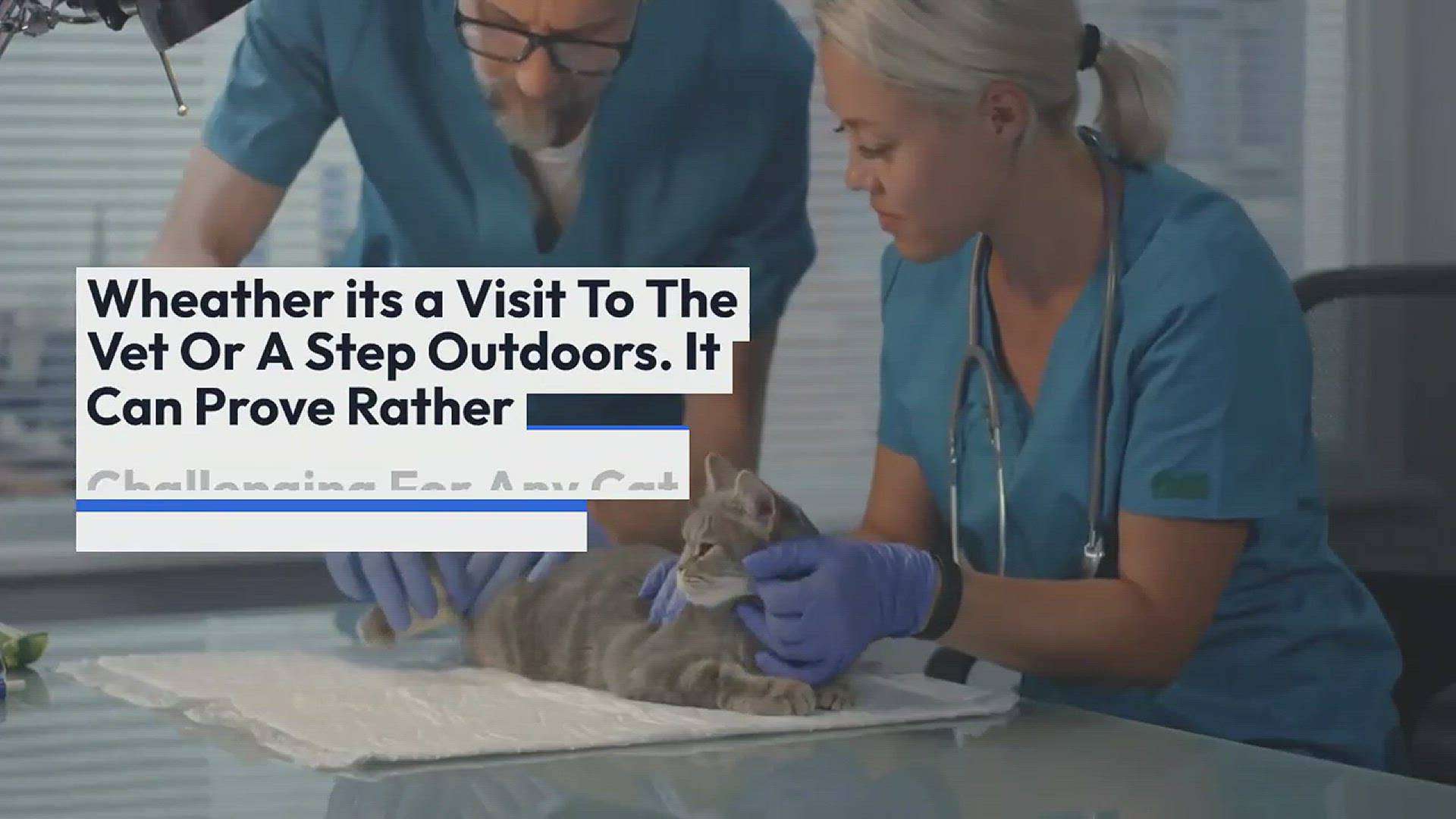 Video thumbnail for why cats hate outside