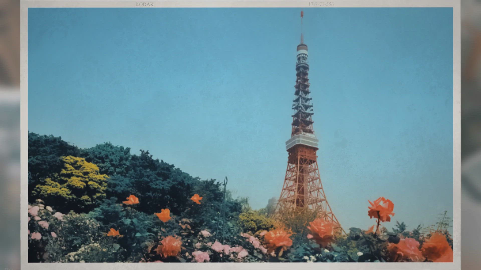 'Video thumbnail for Tokyo- 도쿄의 유명 관광지 12선'