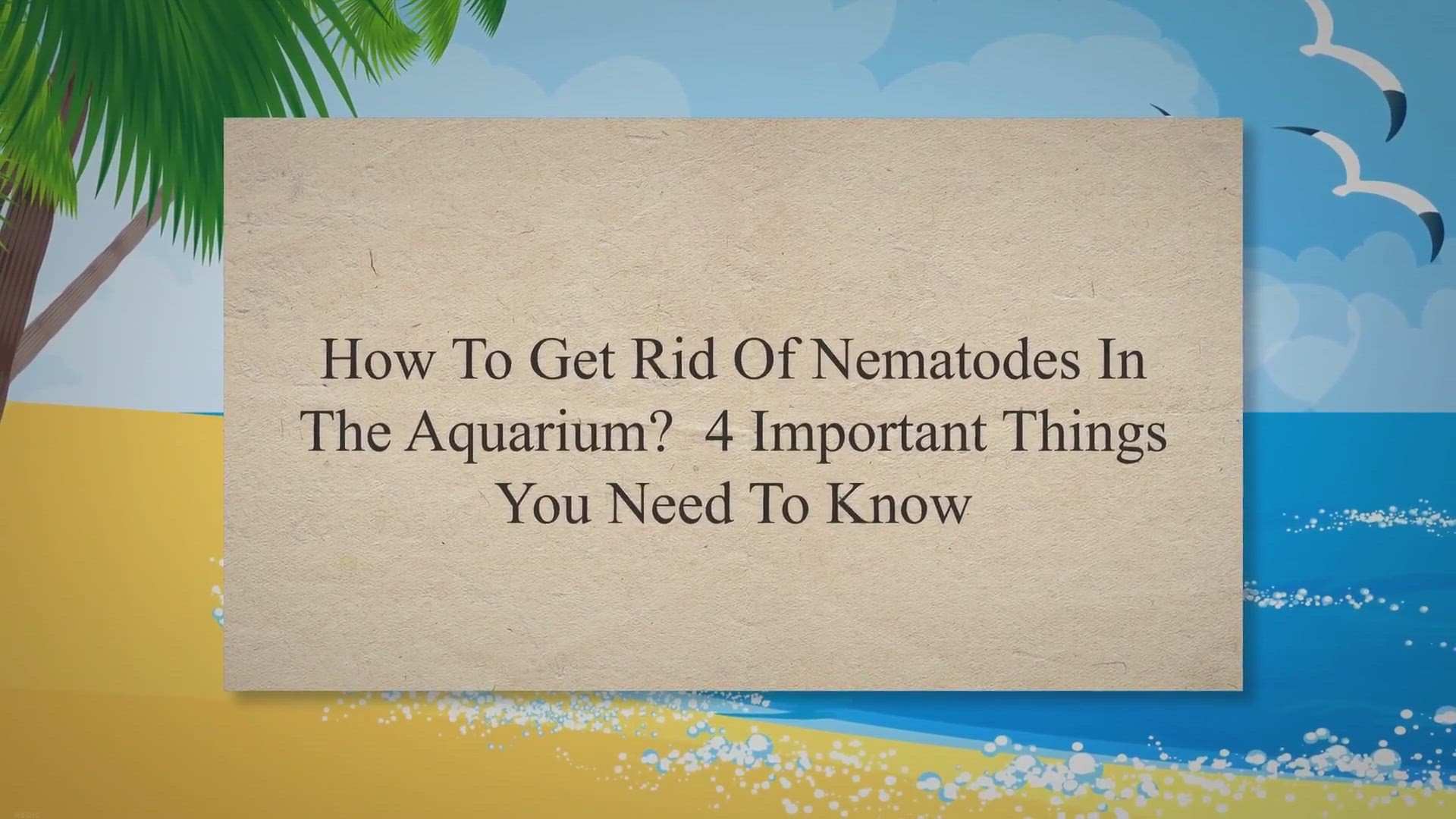 Video thumbnail for How To Get Rid Of Nematodes In The Aquarium? 4 Important Things You Need To Know