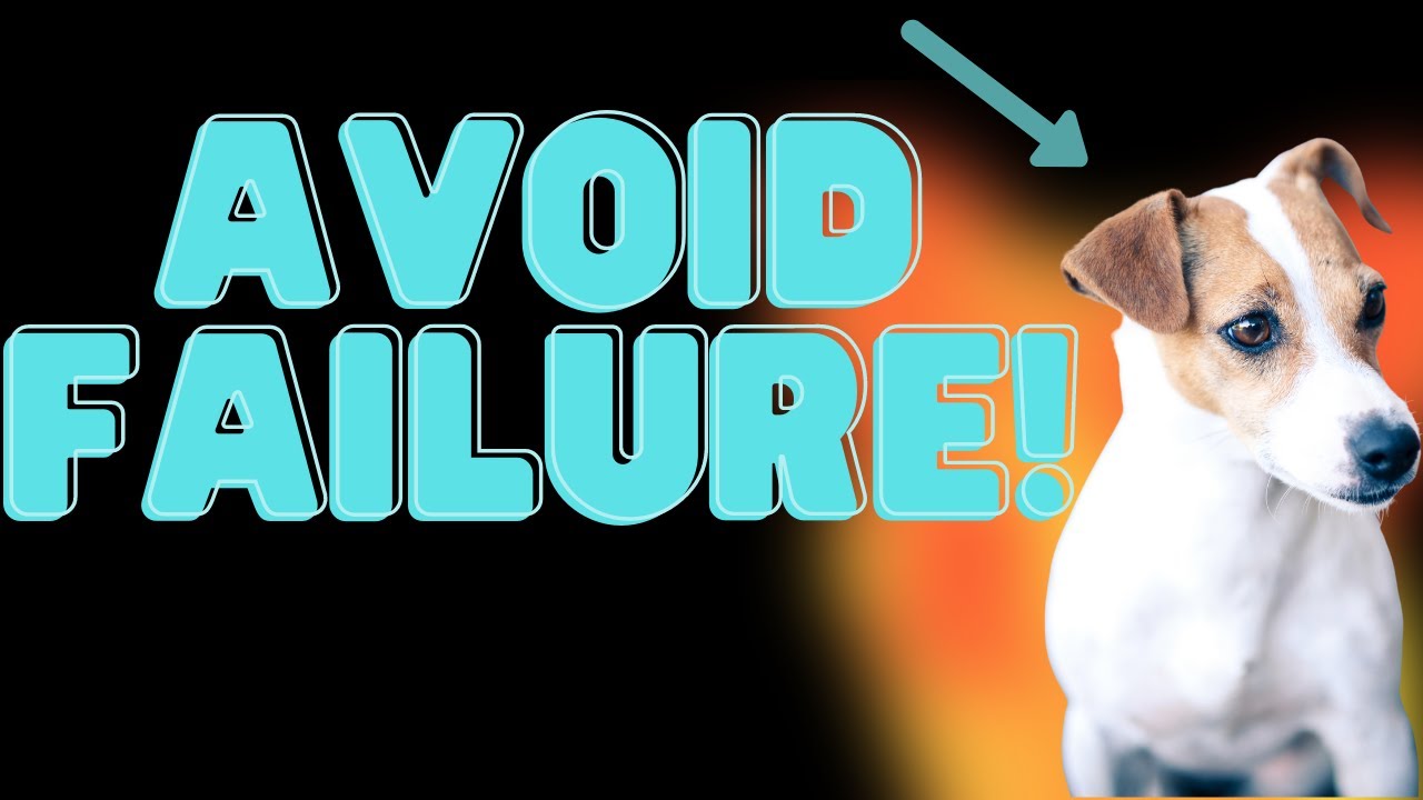 Video thumbnail for Why Jack Russell Terriers Owners Fail (What Can You Do Better?)