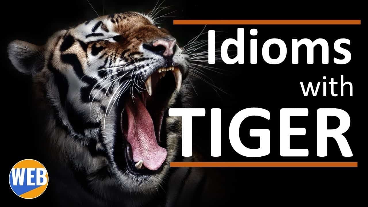 'Video thumbnail for Learn π¬ 5 Idioms with TIGER π―'