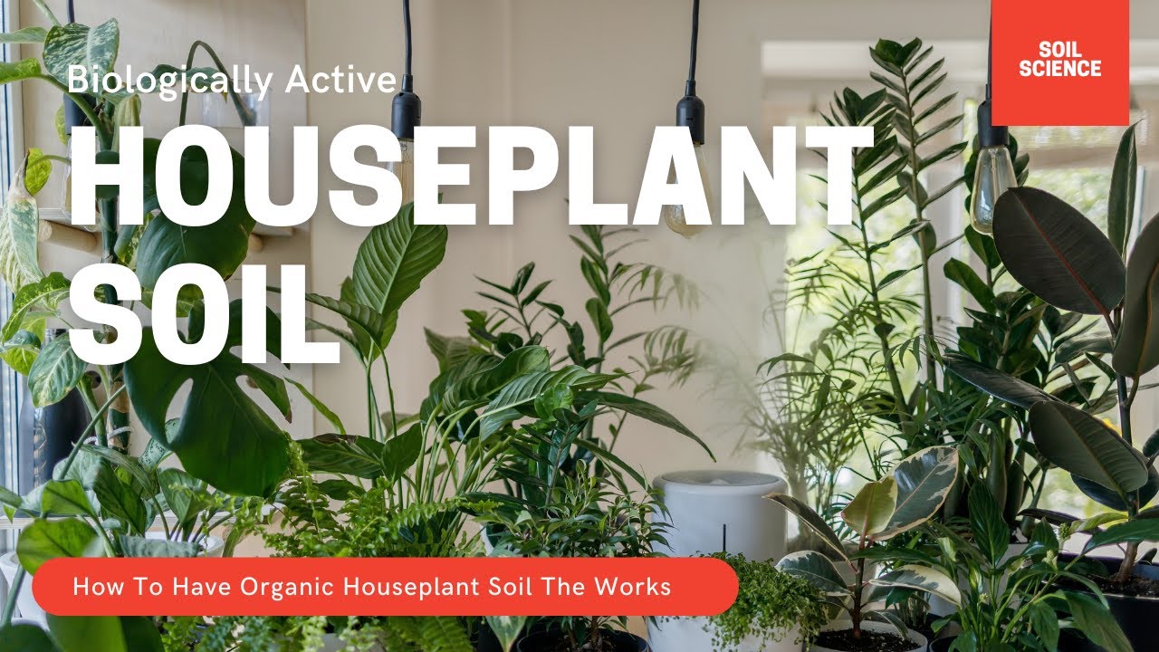 Video thumbnail for Organic Potting Soil For Houseplants The Works. Why Sterile Potting Soil Is A Really BAD idea!