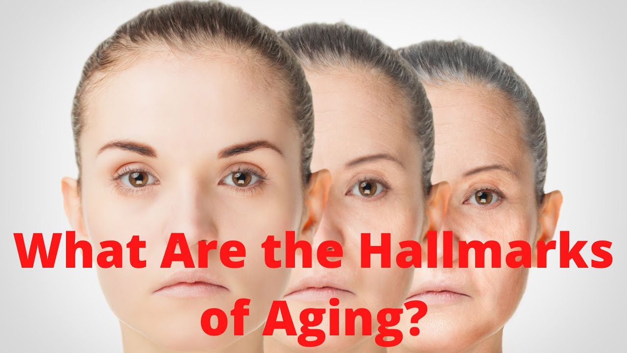'Video thumbnail for What Are the Hallmarks of Aging'