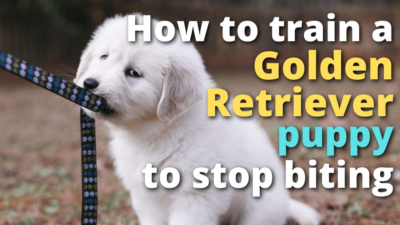 'Video playlist thumbnail'