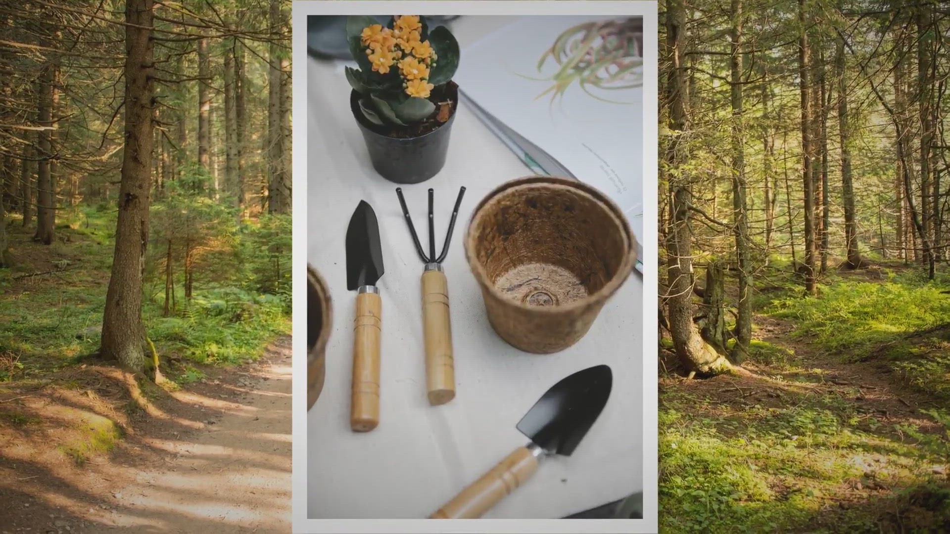 Video thumbnail for Here’s why coco peat is ideal for growing vegetables